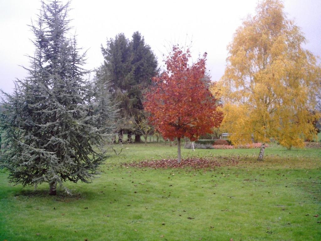 Au Jardin Fleuri Villa Vauxaillon Exterior foto